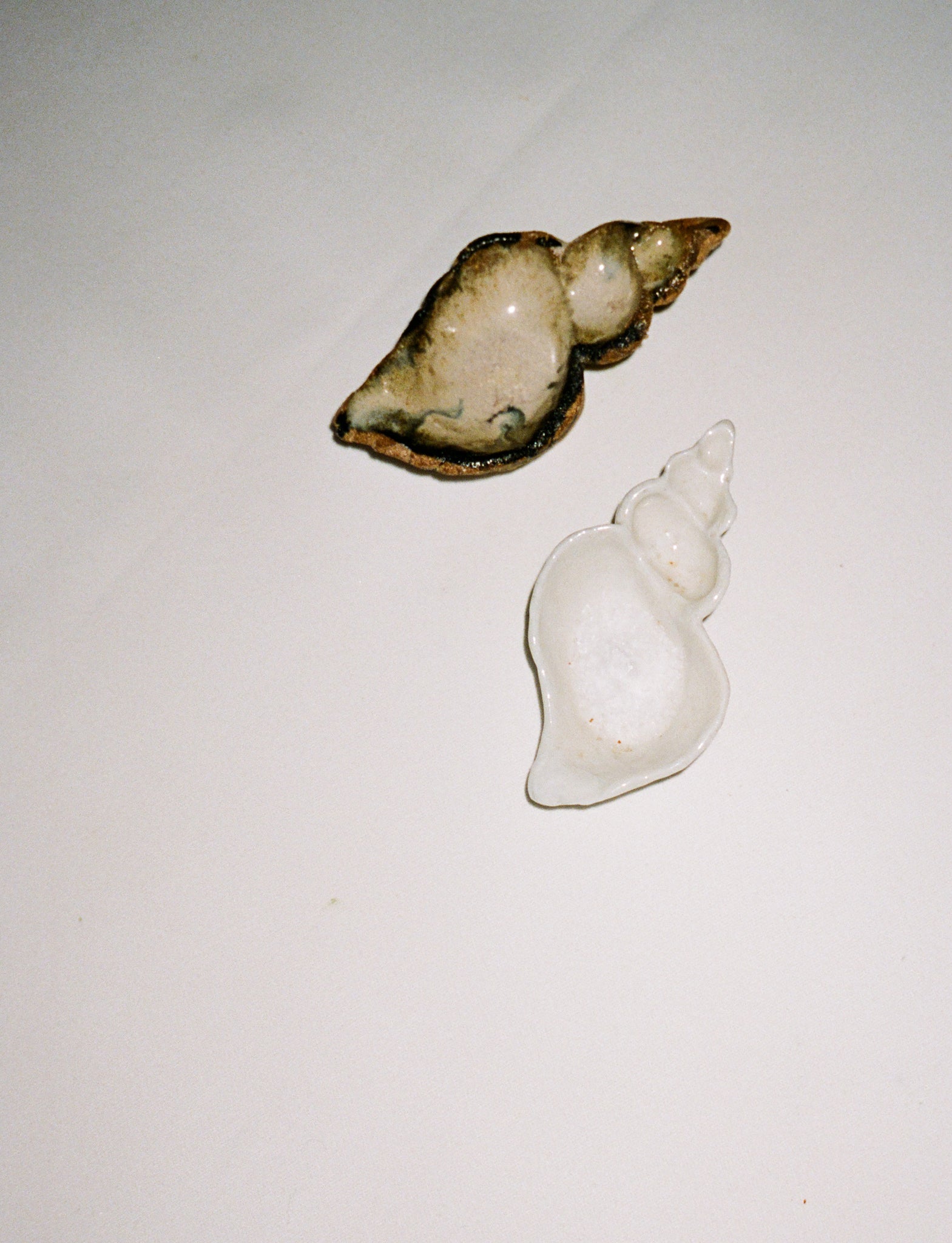 Conch Shell stoneware