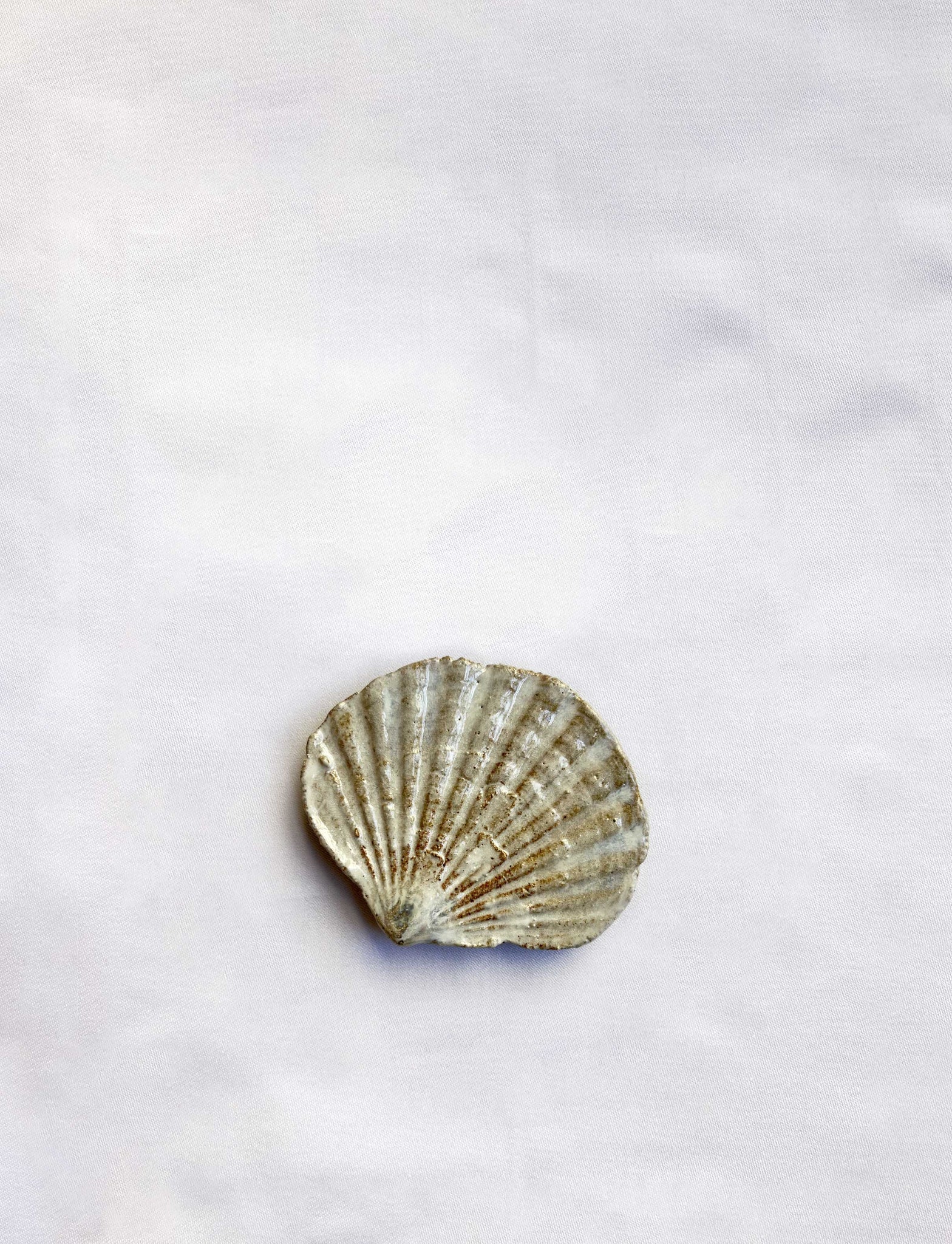 Mini Shell flat