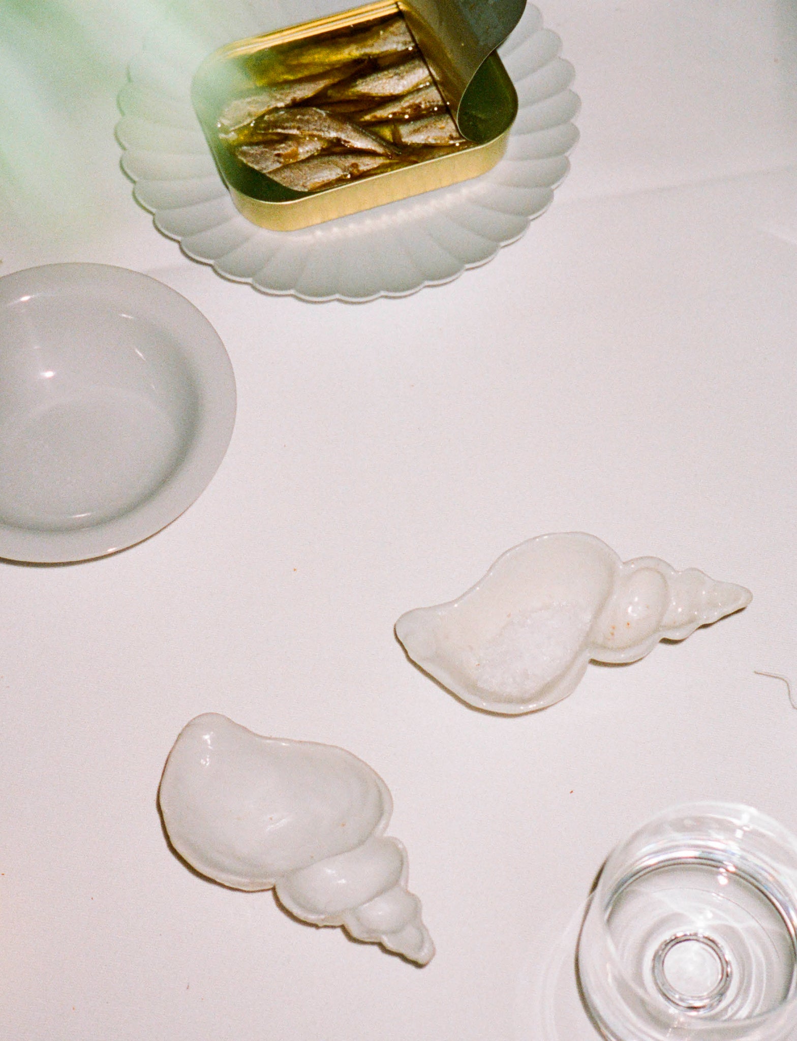 Conch Shell white porcelain