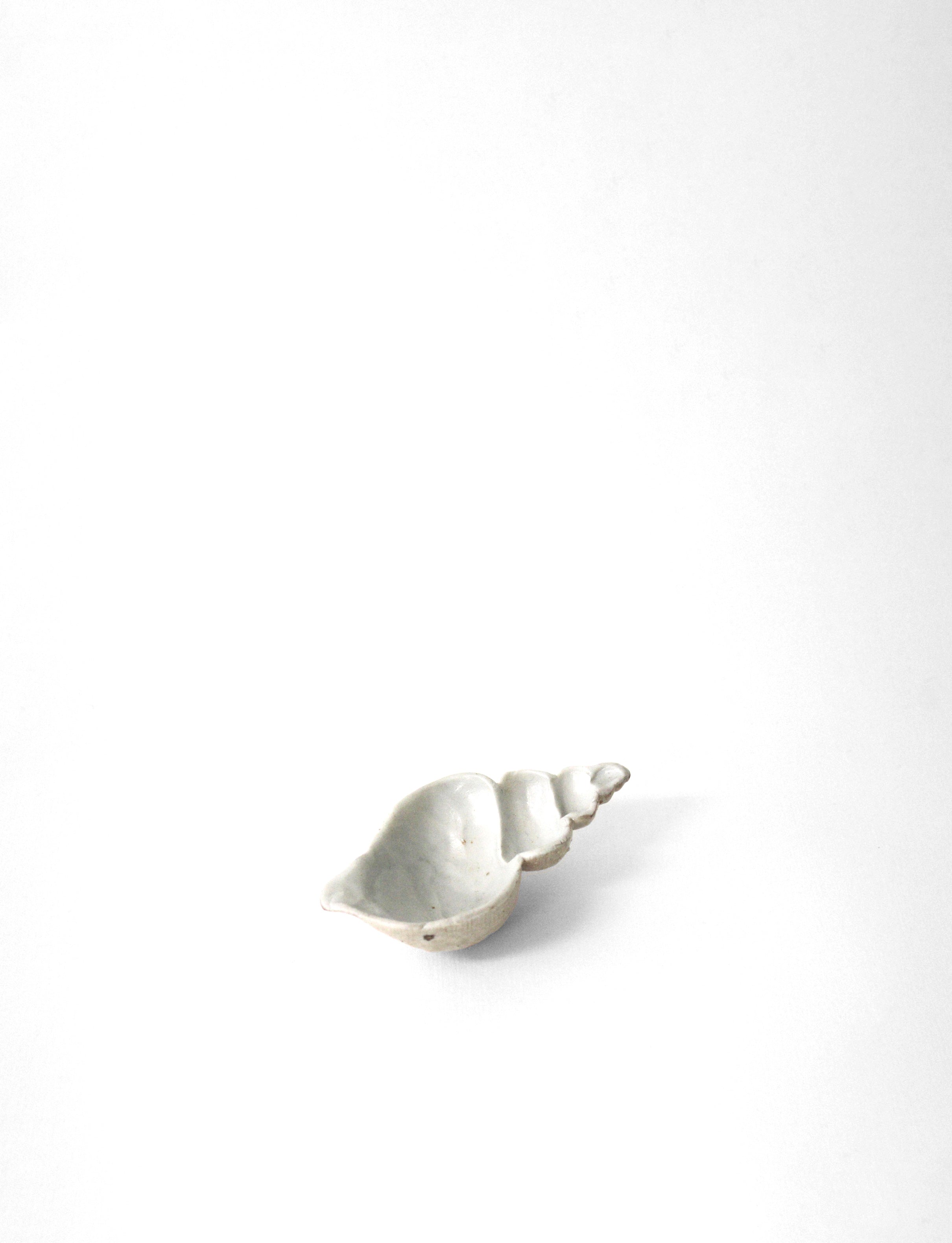 Conch Shell white porcelain